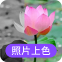 照片上色app