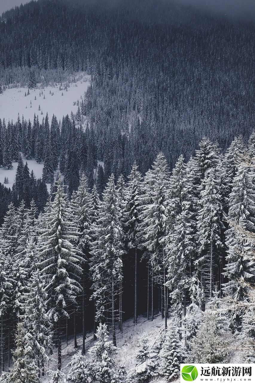 逆水寒雪河